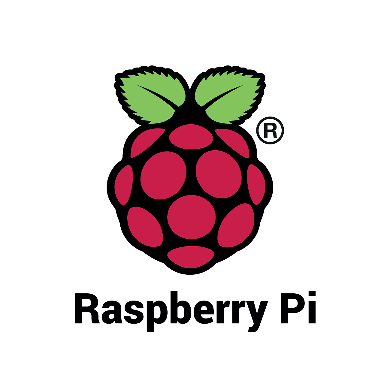 raspberry-pi